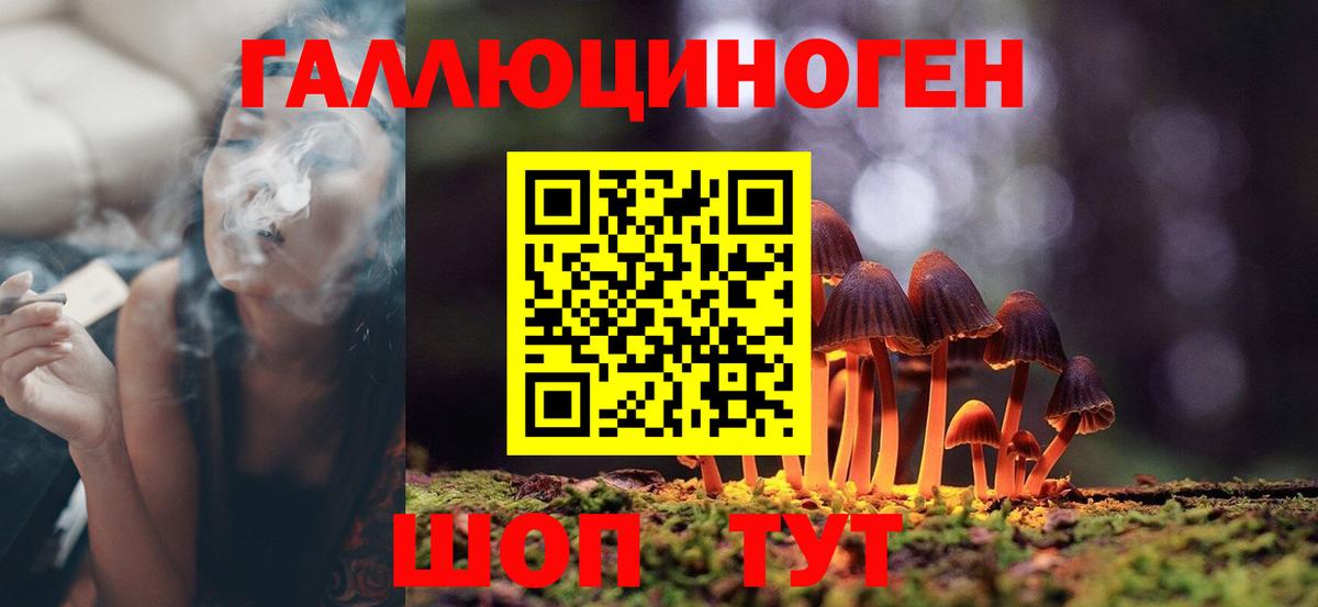 Мурино  Галлюциногенные грибы Psilocybe  Галлюциногенные грибы Magic Shrooms  Вход с VPN 